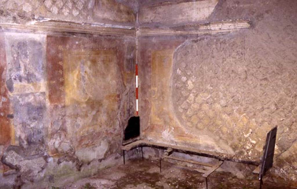 Ins Or II, 09, Herculaneum. July 2001. Rear room, looking towards north-east corner.
Photo courtesy of Nicolas Monteix.